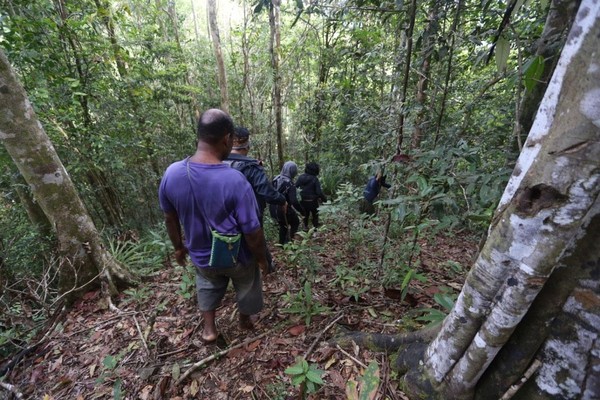 Bird watching di Sausapor cukup baik, ada trek untuk memudahkan wisatawan. Panjang jalan berundak 300 meter dan menanjak 45 derajat. (Aria Sankhyaadi/Istimewa)