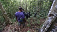 Bird watching di Sausapor cukup baik, ada trek untuk memudahkan wisatawan. Panjang jalan berundak 300 meter dan menanjak 45 derajat. (Aria Sankhyaadi/Istimewa)