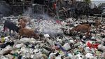 Potret Sampah Plastik Kepung Pulau Terluar Jakarta Potret Sampah Plastik Kepung Pulau Terluar Jakarta