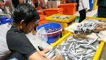 Mengintip Pasar Ikan Modern yang Diresmikan Jokowi Malam Ini