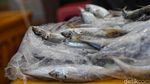 Penampakan Suasana Pasar Ikan Modern Muara Baru
