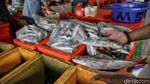 Penampakan Suasana Pasar Ikan Modern Muara Baru