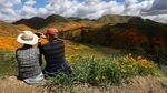 Potret Langka Bunga Warna-Warni Mekar di Gurun California
