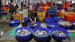 Penampakan Suasana Pasar Ikan Modern Muara Baru
