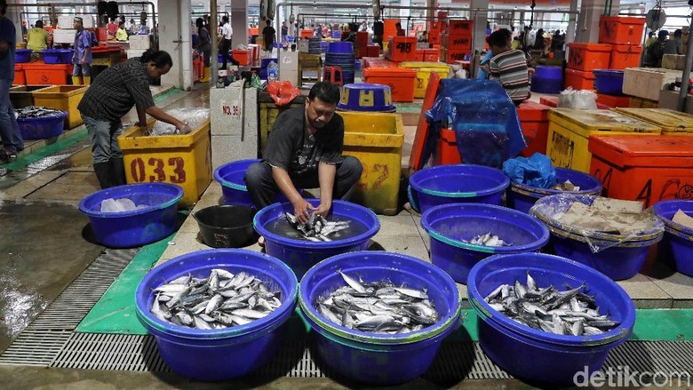 Pasar Ikan Modern (PIM) Muara Baru (Pradita Utama/detikcom) Pasar Ikan Modern (PIM) Muara Baru (Pradita Utama/detikcom)