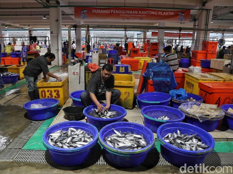Keren dan Bersih! Pasar Ikan Modern Muara Baru yang Diresmikan Jokowi