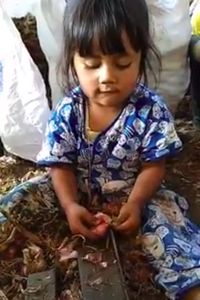 Sering Bantu Orang Tuanya, Dua Bocah Cilik Ini Jago Potong Akar Bawang