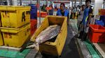 Penampakan Suasana Pasar Ikan Modern Muara Baru