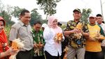 Heboh Mobil Dinas Rp 1,9 M, Bupati Irna Narulita Ternyata Doyan Sushi dan Bakso!