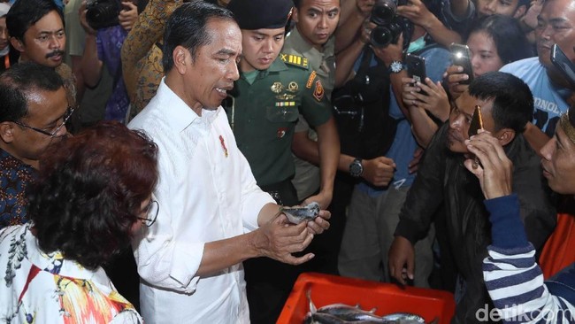 Kagumnya Jokowi Pada Pasar Ikan Muara Baru yang Seperti Tsukiji