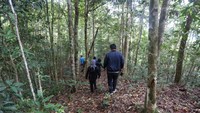 Dari pintu masuk, wisatawan bisa harus treking selama 15 menit untuk sampai di titik pengamatan. (Aria Sankhyaadi/Istimewa)