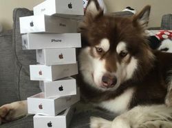 Gaya Hidup Anak Terkaya China: Antara Harta, Wanita, dan Gaming