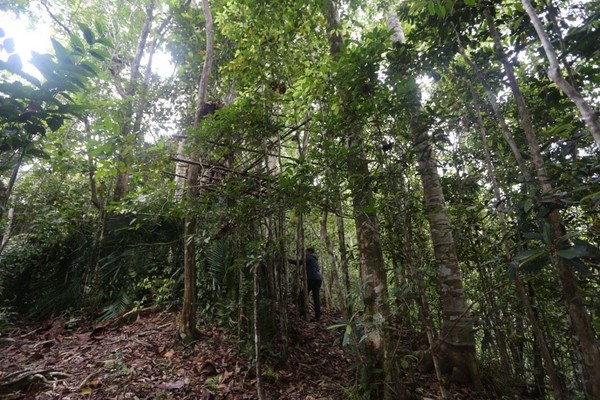 Datanglah sepagi mungkin, pakai baju berwarna gelap dan jangan gunakan wewangian apa pun karena indra penciuman burung sangat tajam. (Aria Sankhyaadi/Istimewa) Datanglah sepagi mungkin, pakai baju berwarna gelap dan jangan gunakan wewangian apa pun karena indra penciuman burung sangat tajam. (Aria Sankhyaadi/Istimewa)