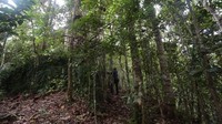Datanglah sepagi mungkin, pakai baju berwarna gelap dan jangan gunakan wewangian apa pun karena indra penciuman burung sangat tajam. (Aria Sankhyaadi/Istimewa)