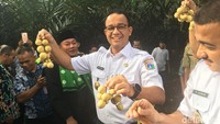 Selain itu, Anies meminta warga mulai menjadikan CBC sebagai lokasi wisata alam. Lahan seluas 3 hektare itu bisa jadi area pendidikan bagi anak-anak. (Foto: Arief Ikhsanudin/detikcom)