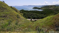 Lautan yang biru, daratan berbukit-bukit dengan pepohonan hijau di musim penghujan, serta kapal-kapal yang lewat di kejauhan begitu memanjakan mata Anda (Dikhy Sasra/detikcom)