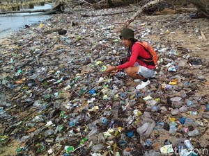 Pantai Ujung Kulon Dipenuhi Sampah, Habitat Penyu-Dugong Terancam
