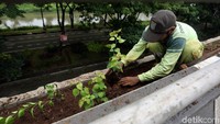 Petugas Dinas Kehutanan DKI Jakarta nampak sedang menanam tanaman hijau di sisi flyover Duren Sawit, Jakarta, Kamis (14/3/2019).