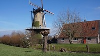 Melipir 6 km ke arah utara dari Breda, ada Desa Terheijden yang punya kincir angin khas Negeri Belanda (iStock)