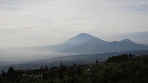 Foto: Tempat Kemping Asyik di Semarang