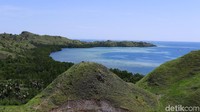 Jika dari pelabuhan Labuan Bajo, lokasi Bukit Cinta ini bisa dicapai naik ojek atau mobil sewaan dengan waktu kurang dari 30 menit (Dikhy Sasra/detikcom)
