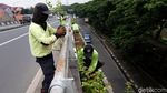 Tanaman Hijau Percantik Flyover Duren Sawit