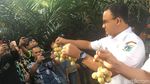 Foto: Naik Tangga, Anies Panen Duku di Condet