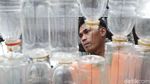 Keren Banget! Petugas UPK Badan Air Bikin Rumah dari Botol Plastik