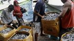 Aktivitas Bongkar Muat Ikan Kering di Pelabuhan Labuan Bajo