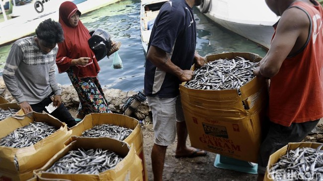 Susi Disindir Soal Impor Ikan Asin, Ini Fakta dari BPS
