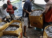 Susi Disindir Soal Impor Ikan Asin, Ini Fakta dari BPS