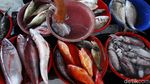 Geliat Pasar Labuan Bajo