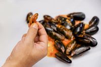 Di Muara Karang Bisa Jajan Seafood Segar dan Enak di 5 Resto Ini