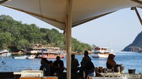 Awalnya pelaut Suku Bajo hanya singgah, namun lama-lama mereka menetap dan hidup berdampingan warga asli Flores dan membentuknya jadi Desa Labuan Bajo.