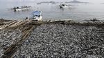 Aktivitas Bongkar Muat Ikan Kering di Pelabuhan Labuan Bajo
