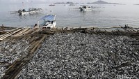 Salah satu sentra ikan kering atau ikan asin di Pulau Papagarang Ikan-ikan itu dikeringkan dan akan dijual kepada pengepul yang ada di Labuan Bajo. Setelah itu akan didistribusikan ke pasar-pasar lokal.