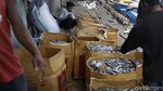 Aktivitas Bongkar Muat Ikan Kering di Pelabuhan Labuan Bajo