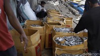 Seorang pengepul ikan asin mencatat pemasukan ikan asin yang sudah di timbang.