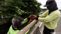 Petugas bahu membahu melakukan penanaman tanaman hijau di sisi flyover Duren Sawit.