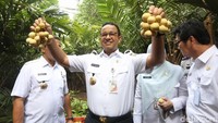 Usai memetik, Anies terlihat sangat semringah.