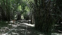 Jalanan yang teduh di sekitar Gua Cermin dan bersih tentunya (Dikhy Sasra/detikcom)