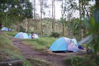 Kemping Asyik di Basecamp Gunung Ungaran, Sudah Pernah Belum?