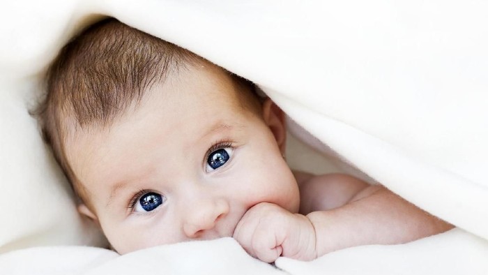 Ilustrasi bayi/ Foto: iStock Ilustrasi bayi/ Foto: iStock