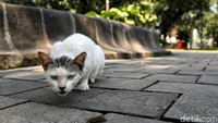 Rencana pembangunan TMB itu pun kini tengah dalam proses pematangan konsep agar dapat segera direalisasikan.
