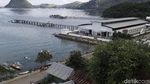 Megahnya TPI Baru Labuan Bajo yang Mulai Beroperasi