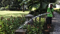 Petugas pun akan siap siaga menjaga kebersihan taman di berbagai kawasan di Jakarta tersebut.