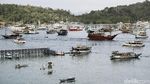 Foto: Hiruk Pikuk Dermaga Labuan Bajo, Jadi Pengen Liburan Deh