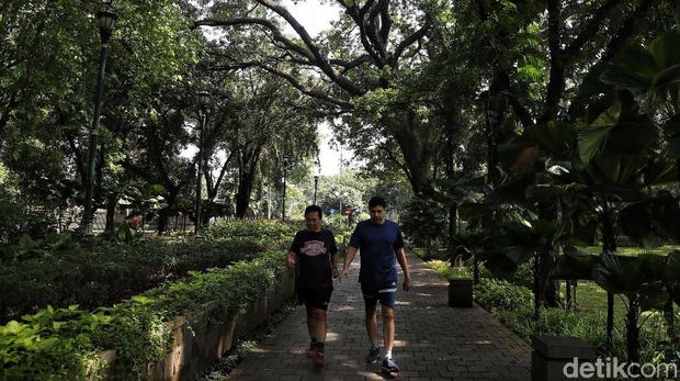 Di tahun 2019 ini Pemprov DKI Jakarta menargetkan pembangunan 53 Taman Maju Bersama (TMB). Taman-taman itu akan dibangun di berbagai wilayah di Jakarta.