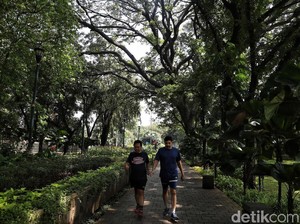Ini 6 Ruang Hijau untuk Menghirup Udara Segar di Jakarta
