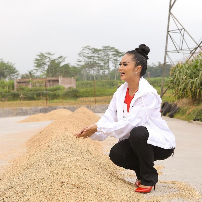 Krisdayanti yang menjadi caleg PDI-P rutin blusukan ke Malang, Jawa Timur. Salah satu aksinya blusukan adalah saat KD melihat hasil panen padi. Pelantun Menghitung Hari itu berpose memegang padi yang sudah dipanen itu, memakai jaket putih, kaus merah dan celana hitam. Dia melengkapi penampilannya dengan high heels berwarna merah. Foto: Instagram krisdayantilemos